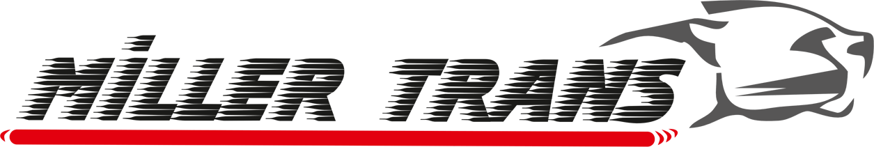 Grup Şirketi Logosu